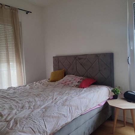 Apartament Ribnica Podgorica Zewnętrze zdjęcie